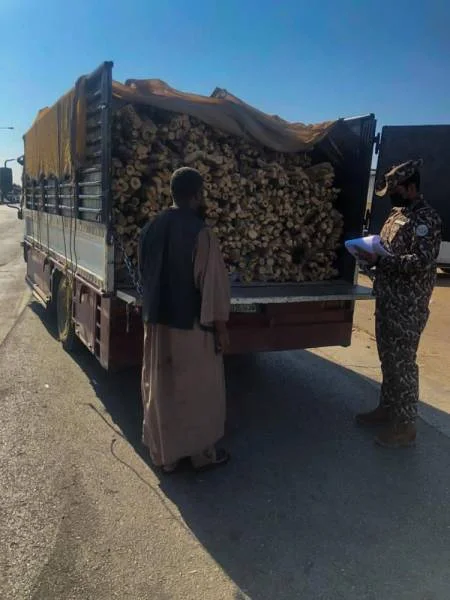 "الأمن البيئي" تضبط 10 مخالفين بحوزتهم 12,5 طناً من الحطب المحلي المعد للبيع في الرياض