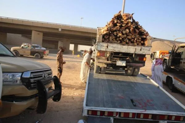 "الأمن البيئي" تضبط 22,8 طناً من الحطب المحلي المعد للبيع في الرياض