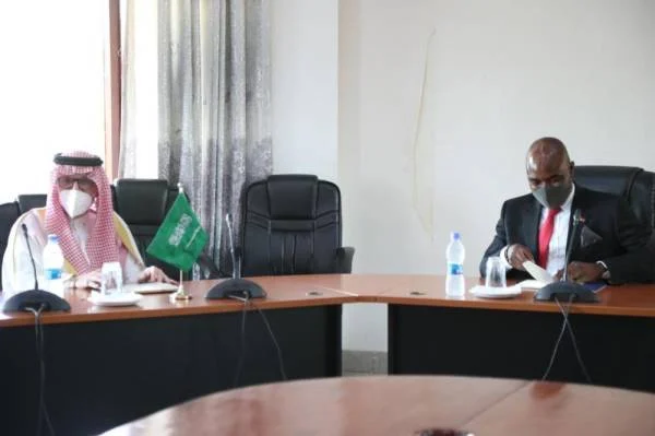 وزير الدولة لشؤون الدول الأفريقية يلتقي وزير خارجية ملاوي