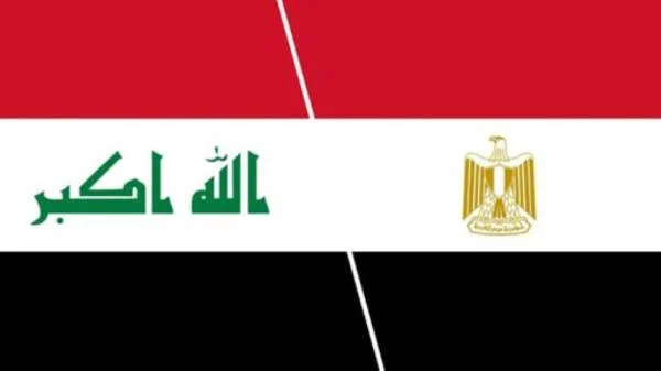 وزيرا الدفاع المصري والعراقي يبحثان التعاون العسكري