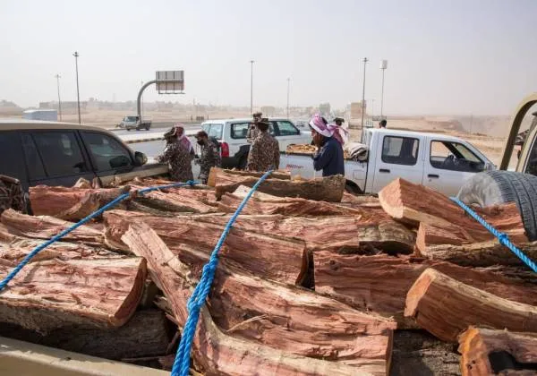 "الأمن البيئي": ضبط 16 طناً من الحطب المحلي المعد للبيع في الرياض