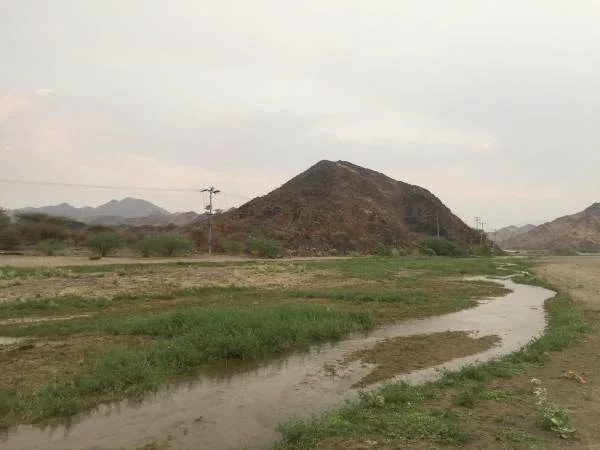 أمطار على منطقة القصيم ومحافظة أضم