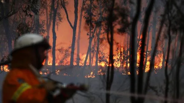 أستراليا : 100 حريق بسبب موجة من الحر