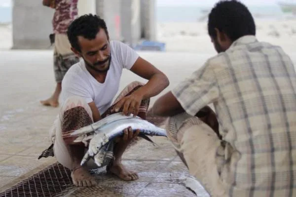 "الفاو" ومركز الملك سلمان يدعمان 8000 أسرة يمنية بمجتمعات الصيد