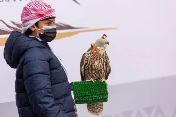 نادي الصقور السعودي يهدي طفلة صقراً