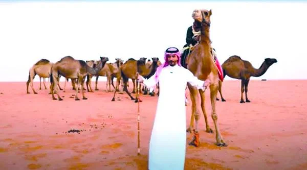 السعوديون ينقلون تراث «الإبل» من الصياهد إلى جيل الـ«Youtube»
