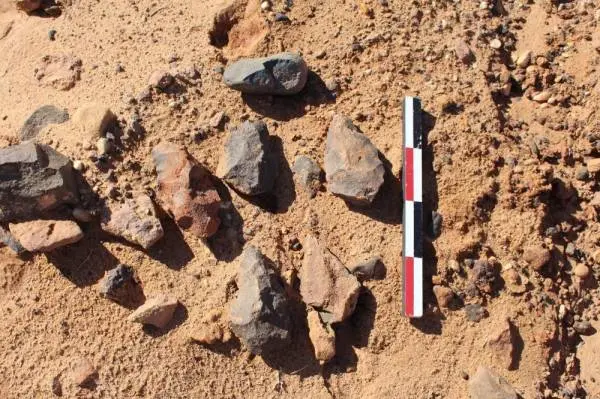 هيئة التراث تعثر على فؤوس حجرية في "شعيب الأدغم" بالقصيم