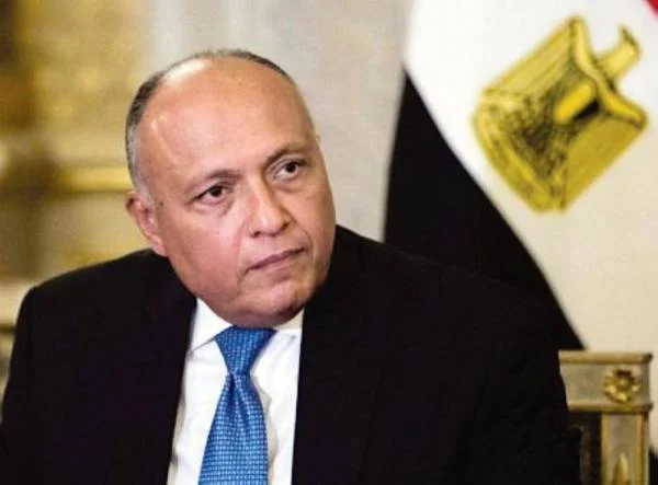 الخارجية المصرية: خطوة مهمة من أجل تعزيز مسيرة العمل العربي