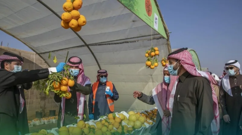 فيصل بن فهد بن مقرن يزور مهرجان برتقالة حائل