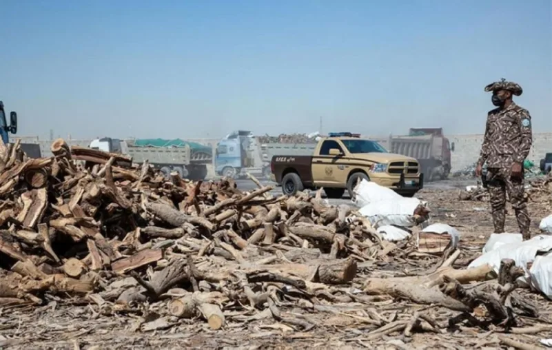 القوات الخاصة للأمن البيئي تضبط أكثر من 120 طناً من الحطب المعروض للبيع في الرياض