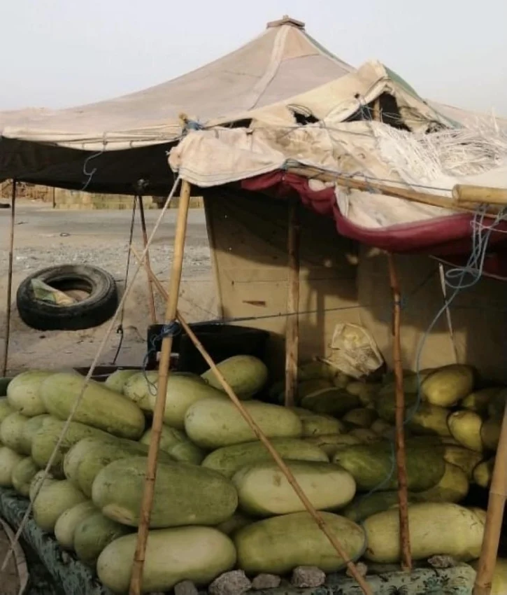 بلدية جنوب مكة تزيل 6 مخيمات لبيع "الحبحب"