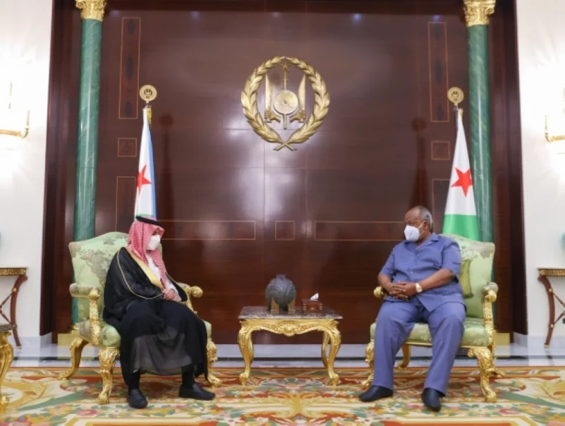 وزير الخارجية يستعرض مع الرئيس الجيبوتي سبل تعزيز العلاقات الثنائية