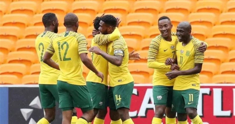 جنوب إفريقيا تقيل المدرب نتسيكي عقب الفشل في التأهل لكأس الأمم