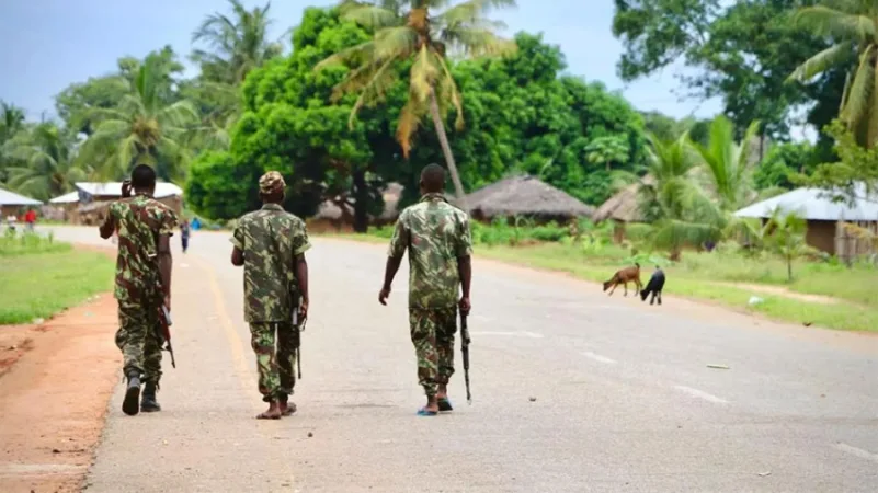 جيش موزمبيق يعلن مقتل عدد "كبير" من "داعش"