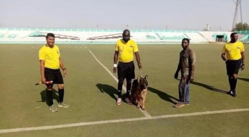 حكم يستعين بكلب لحمايته في إحدى الملاعب السودانية