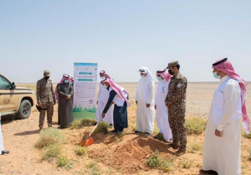 "الأمن البيئي" و"محمية الملك سلمان" يتعاونان لزراعة 800 ألف شتلة
