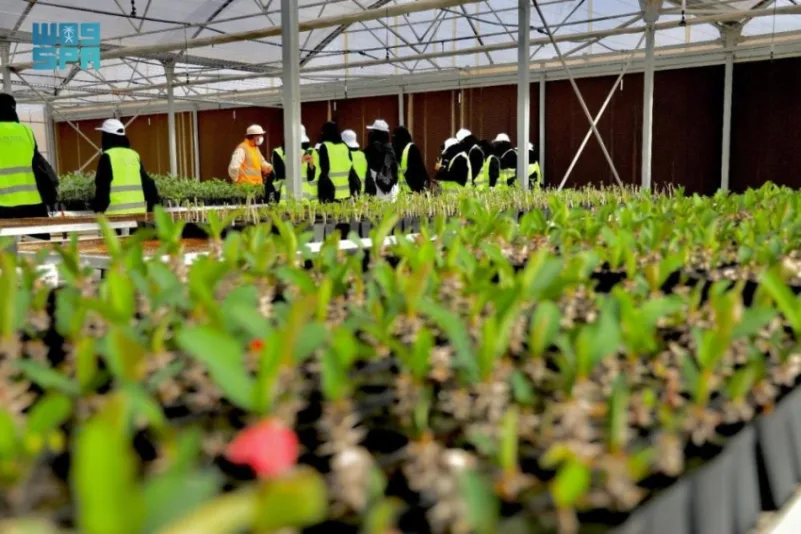 شركة البحر الأحمر تعمل على استزراع 15 مليون نبتة لإثراء الغطاء النباتي