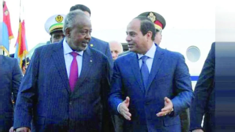 مصر وجيبوتي: يجب التوصل لاتفاق حول سد النهضة قريبا