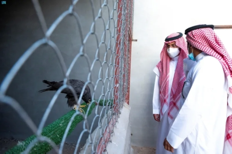 نائب أمير حائل يزور مركز العرادي لإنتاج وحماية الصقور بالعظيم
