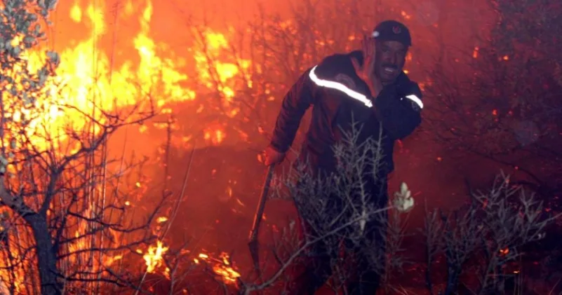 مقتل خمسة جراء حرائق الغابات في الجزائر