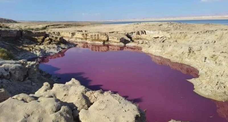 الأردن..ظهور مياه بلون الدم قرب البحر الميت