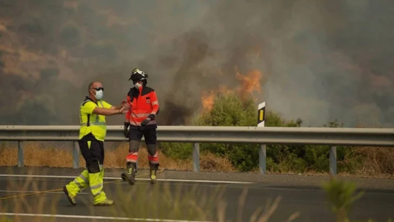 إسبانيا تسيطر على حريق غابات ملقا