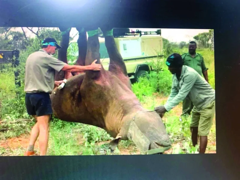 «وحيد القرن المقلوب» تفوز بجائزة «إغ نوبل الساخرة»