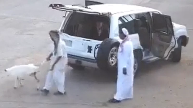 شرطة الرياض: مقطع فيديو يطيح بشخصان من أرباب السوابق