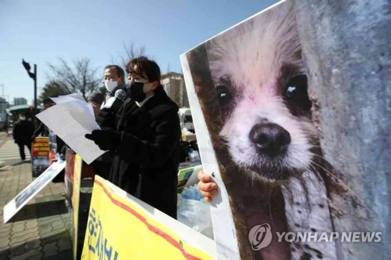 الرئيس الكوري يدعو لحظر تناول لحوم الكلاب في بلاده