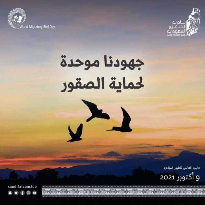 نادي الصقور السعودي يحتفي باليوم العالمي للطيور المهاجرة