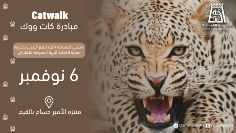 إمارة الباحة تنظم مبادرة Catwalk لحماية النمر العربي والقطط البرية.. غدا
