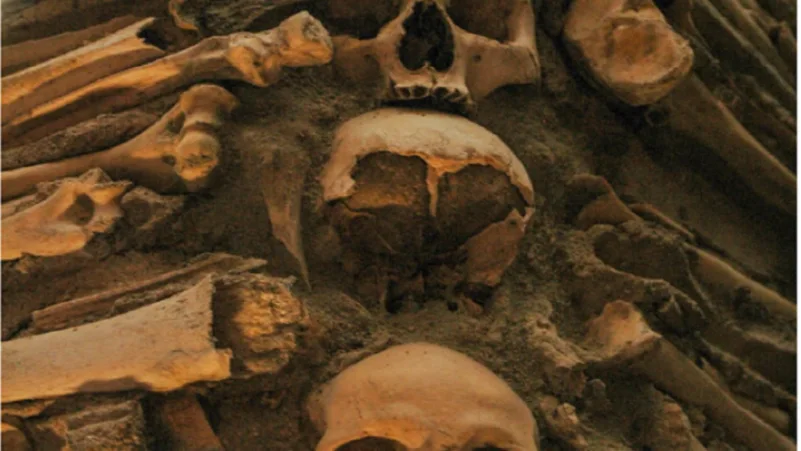 اكتشاف مقبرة هياكل بشرية تعود للقرن الـ 15