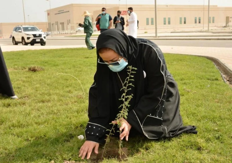 زراعة 6500 شجرة في حرم جامعة الإمام عبدالرحمن
