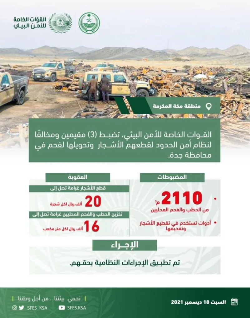 ضبط (3) مقيمين ومخالفًا لقطعهم الأشجار وتحويلها لفحم في محافظة جدة