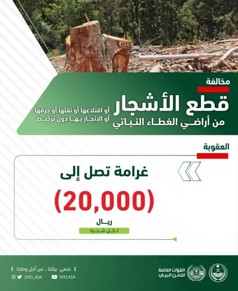 "الأمن البيئي": 20 ألف ريال غرامة اقتلاع شجرة دون ترخيص