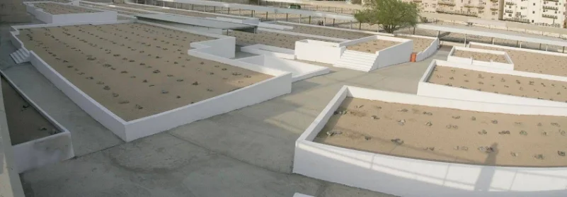 25 ألف قبر بمقبرة "المعلاة"