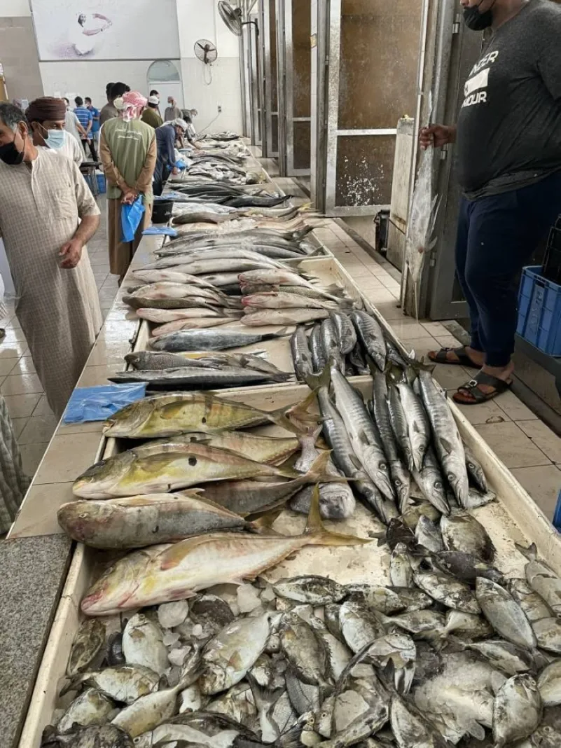 التقلُبات الجوِّية تقود الأسماك إلى إرتفاعات ملحوظة في أسواق الشرقية