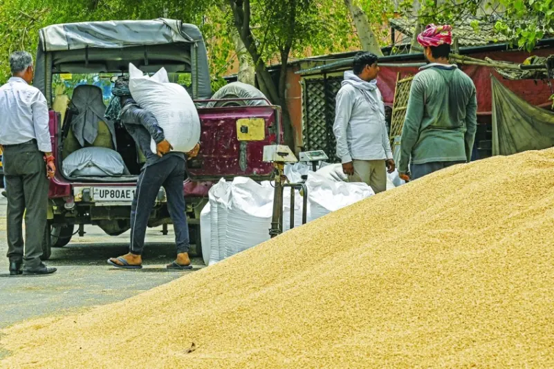 واشنطن تناشد الهند فك الحظر على تصدير القمح