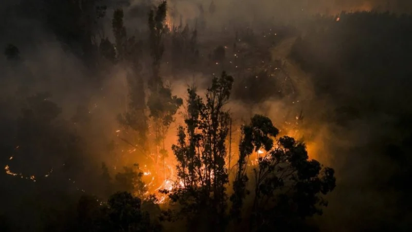 24 قتيلاً وأكثر من 1100 جريح في حرائق غابات تشيلي