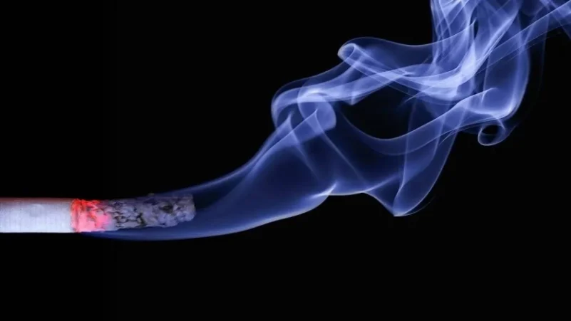 التبغ ومشتقاته.. مخاطر تهدد الصحة والبيئة