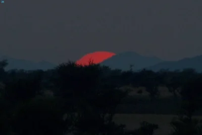 نقره لعرض الصورة في صفحة مستقلة