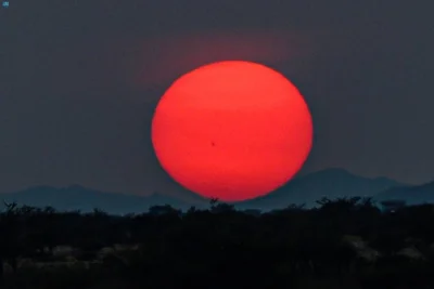 نقره لعرض الصورة في صفحة مستقلة