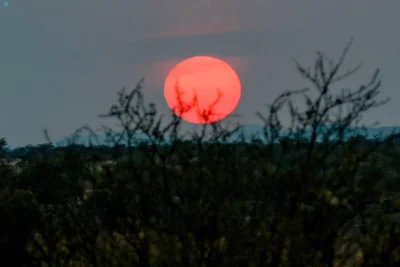 نقره لعرض الصورة في صفحة مستقلة