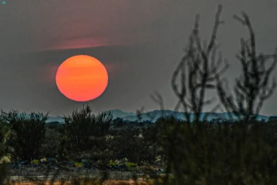 نقره لعرض الصورة في صفحة مستقلة