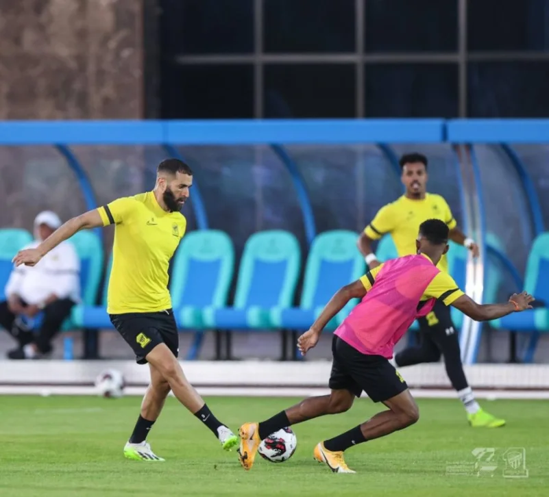 2211230.jpg&w=801&q=100&f=webp