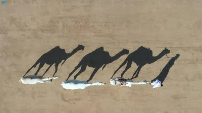 نقره لعرض الصورة في صفحة مستقلة