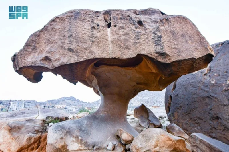 نقره لعرض الصورة في صفحة مستقلة