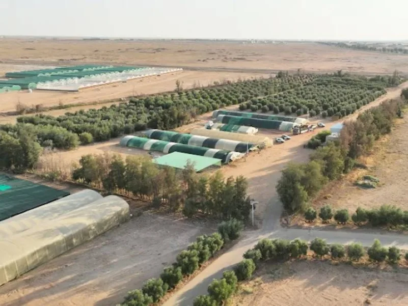 زراعة مليون شتلة بـ«محمية الملك سلمان» 2 2263177