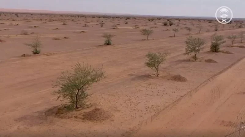 زراعة (80) ألف شجرة محلية في متنزه أبا سمري الوطني بمحافظة مرات