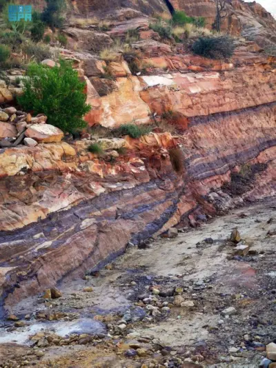 نقره لعرض الصورة في صفحة مستقلة